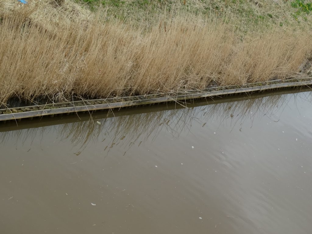 Houten beschoeiing langs watergang met riet, uitgevoerd door Bouma Waterwerken.