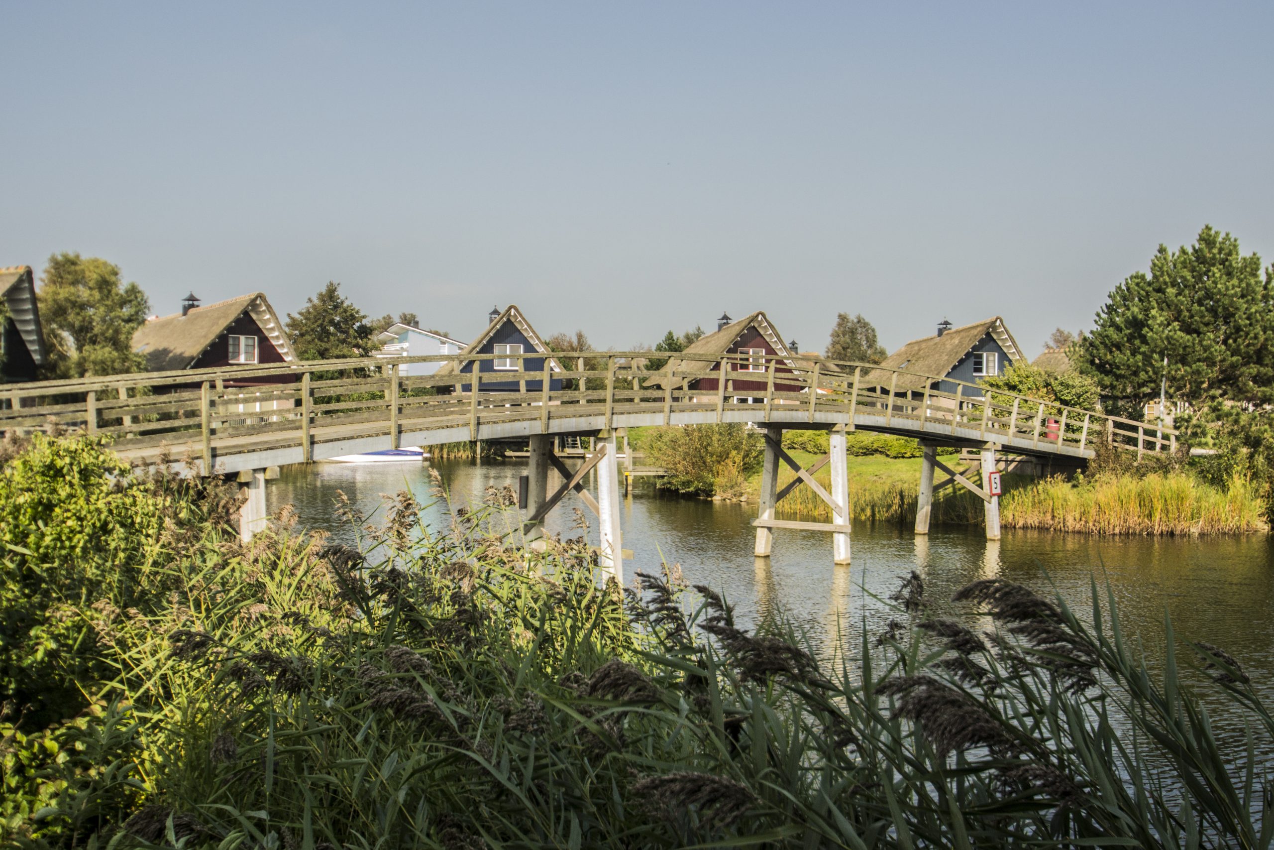 Houten voetbrug over rustig water met rietkraag en vakantiewoningen op de achtergrond.